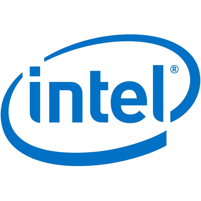 Intel Remote Management Module 4 Lite 2 - Fernverwaltungsadapter